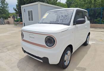 吉利汽车 2024款 熊猫mini 200km 耐力熊