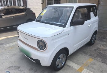 吉利汽车 2024款 熊猫mini 200km 耐力熊