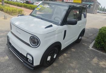 吉利汽车 2025款 210km 熊猫卡丁