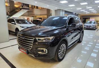 哈弗 H6 2020款 2.0GDIT 自动铂金豪华版