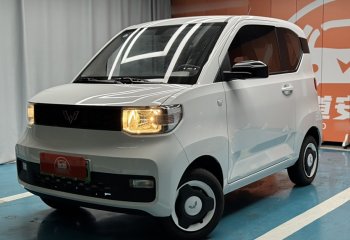 五菱汽车 宏光MINIEV 2022款 轻松款 磷酸铁锂