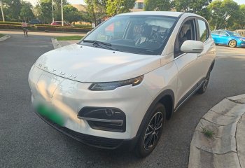 大运 悦虎 2023款 300 标准版