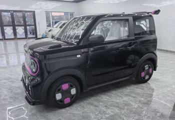 吉利汽车 2025款 210km 熊猫卡丁