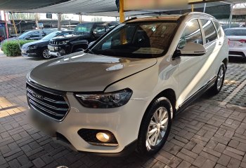 哈弗H6 2021款 运动版 1.5T 自动精英智联型 六边形格栅