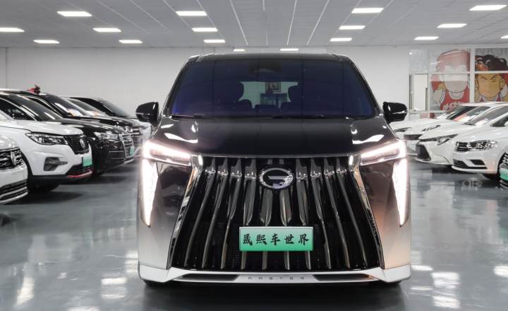 广汽传祺 传祺M8 2024款 宗师系列 400T 先锋版