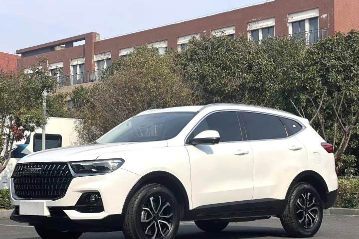 哈弗 H6 国潮版 1.5T 自动冠军版