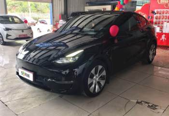特斯拉 Model Y 2021款 标准续航后驱版