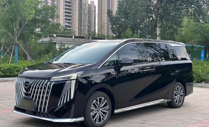 广汽传祺 传祺M8 2024款 大师系列 400T 尊贵版
