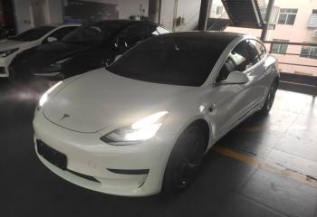 特斯拉 Model 3 2019款 标准续航后驱升级版