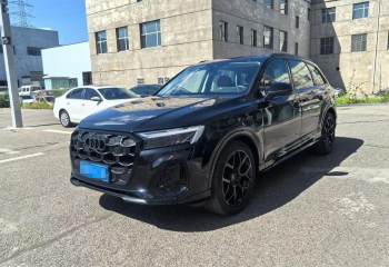 奥迪 Q7 2024款 45 TFSI quattro S line黑武士型