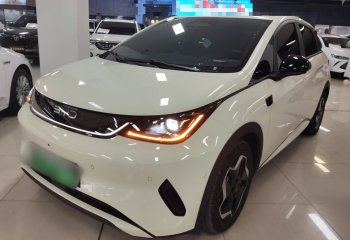 比亚迪 海豚 2025款 智驾版 420km 自由版
