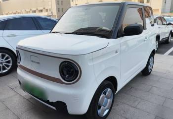 吉利汽车 2023款 熊猫mini 200km 耐力熊
