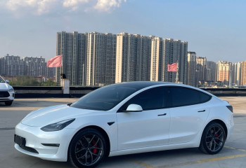 特斯拉 Model 3 2022款 Performance高性能全轮驱动版