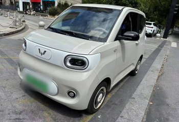 五菱汽车 宏光MINIEV 2024款 第三代 215km 青春版