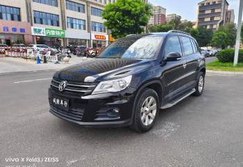 大众 途观 2010款 1.8TSI 自动两驱都会版