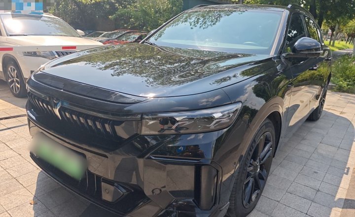 岚图汽车 岚图FREE 2025款 318 318km 后驱环游版