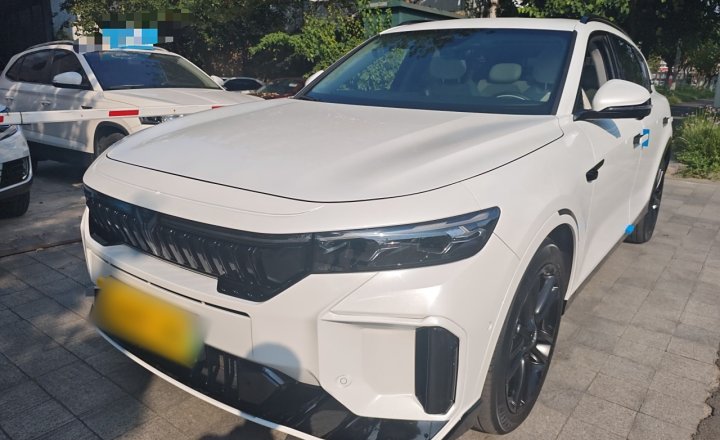 岚图汽车 岚图FREE 2025款 318 318km 后驱环游版
