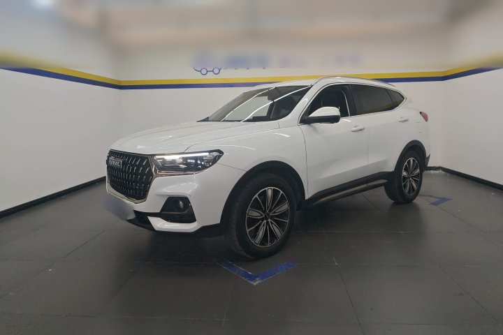 哈弗 H6 国潮版 1.5T 自动冠军版