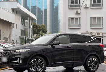 魏牌 VV6 2021款 2.0T 两驱智享+