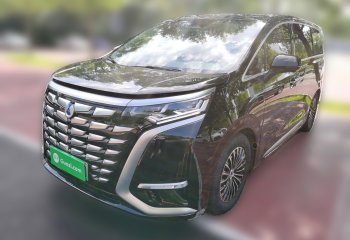 腾势D9 2024款 DM-i 980 四驱尊贵型
