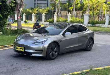 特斯拉 Model 3(进口) 2019款 标准续航后驱升级版