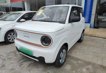 吉利汽车 2024款 熊猫mini 200km 耐力熊