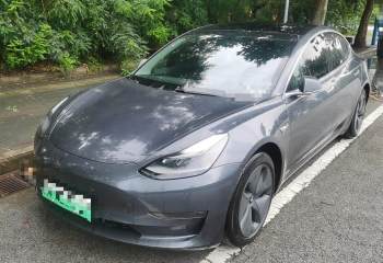 特斯拉 Model 3 2020款 长续航后轮驱动版