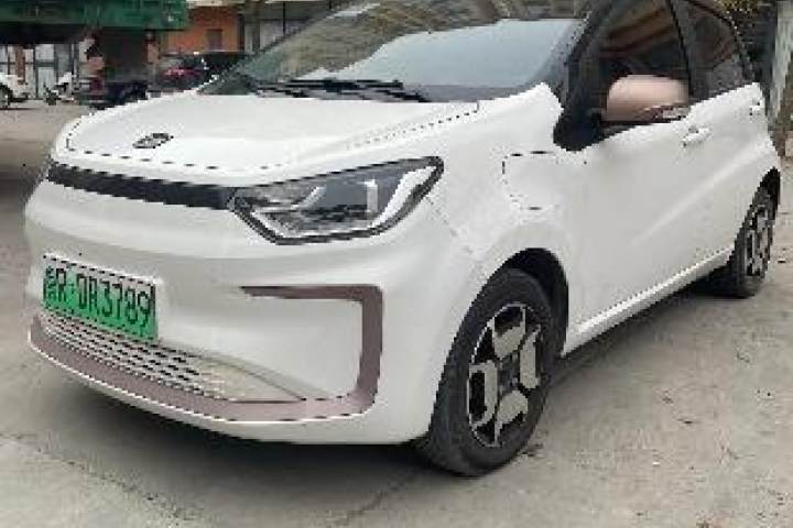 思皓 花仙子 周年款 301km 满天星 36kW