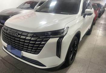 哈弗 H6 2024款 2.0T 两驱Max