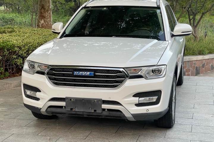 哈弗 H7 蓝标H7 2.0T 自动豪华型
