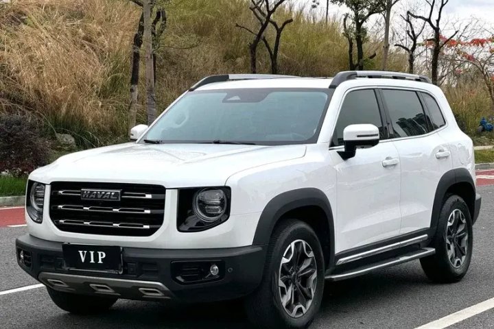 哈弗 大狗 1.5T DCT两驱边牧版