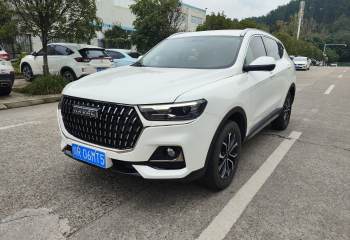 哈弗 H6 2023款 国潮版 1.5T 自动冠军版