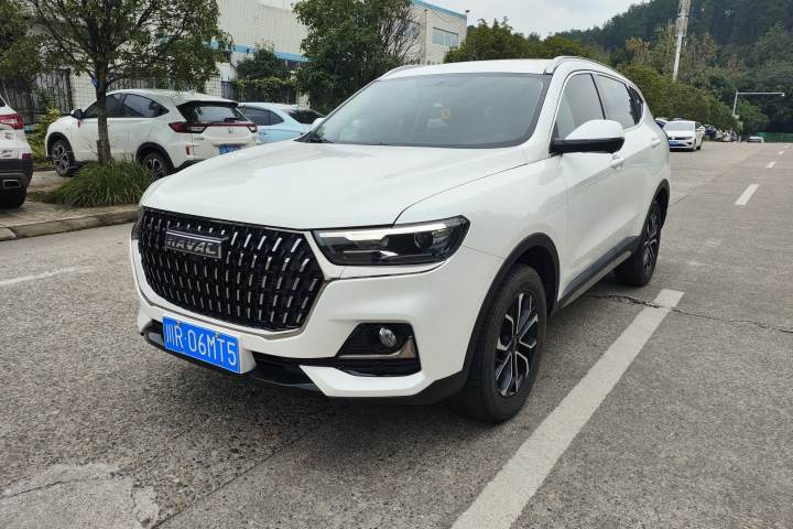 哈弗 H6 国潮版 1.5T 自动冠军版