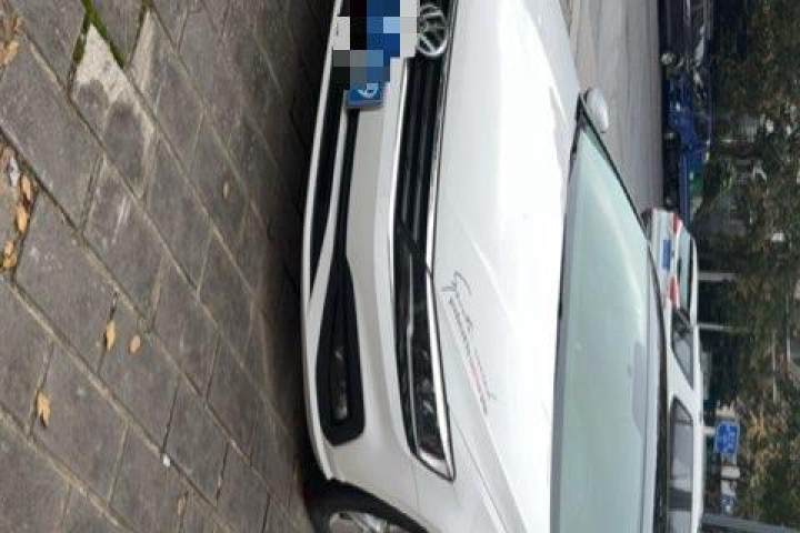 大众 凌渡 2019款 230TSI DSG风尚版 国V