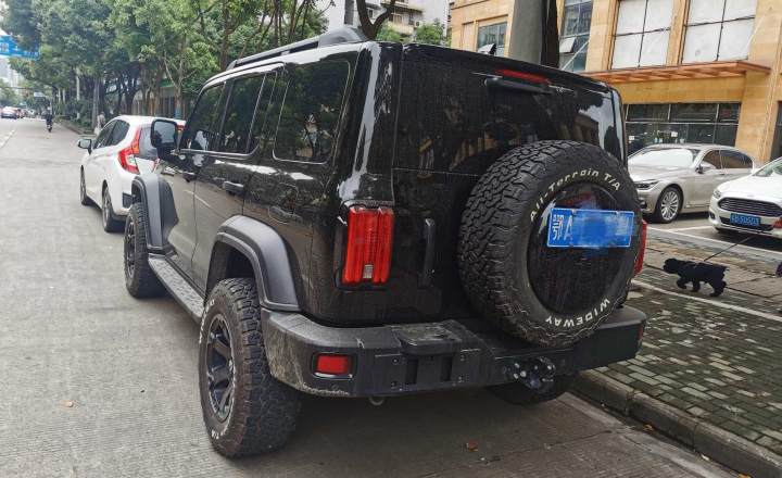 坦克 300 2021款 越野版 2.0T 征服者