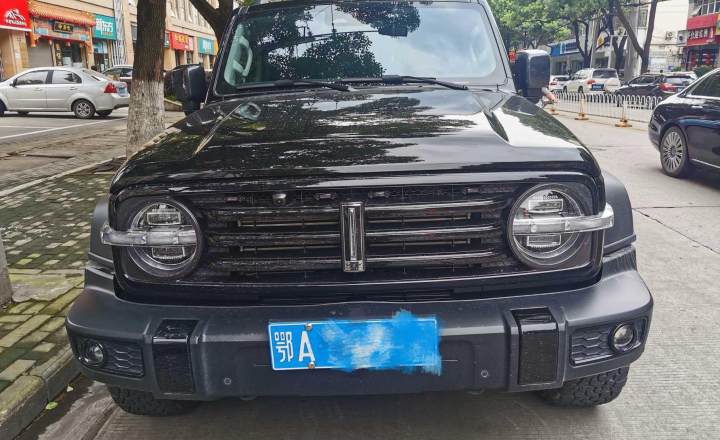 坦克 300 2021款 越野版 2.0T 征服者