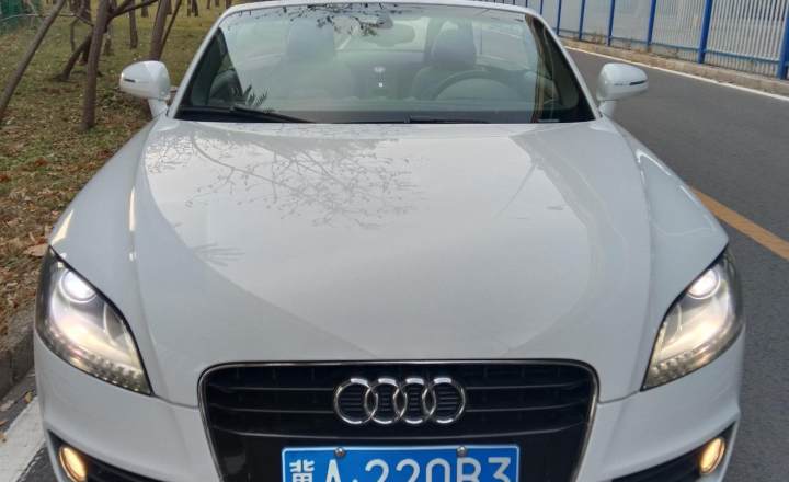 奥迪 TT 2011款 TT Roadster 2.0TFSI