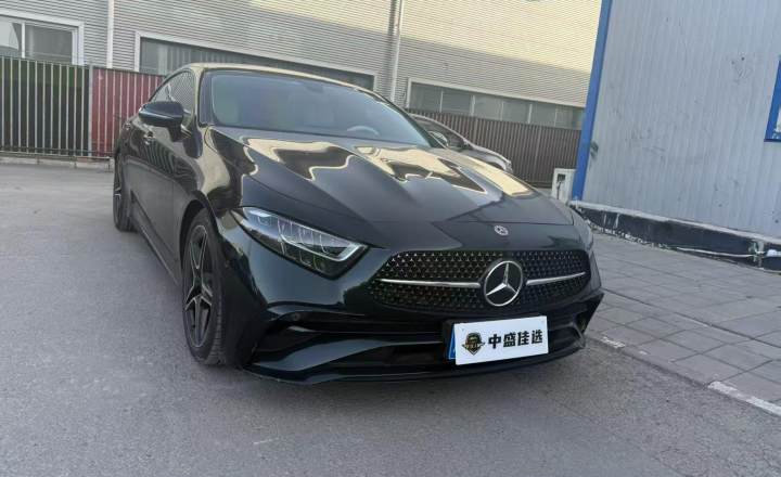 奔驰 CLS 2023款 CLS 300 动感型