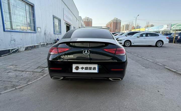 奔驰 CLS 2023款 CLS 300 动感型
