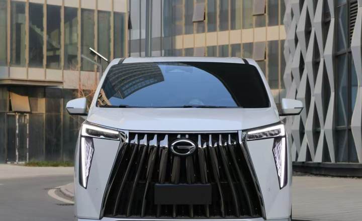 广汽传祺 传祺M8 2023款 宗师系列 400T 至尊版