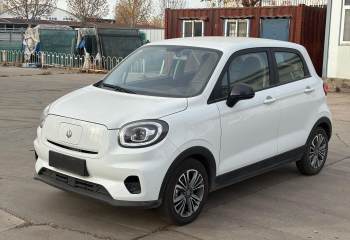 零跑汽车 零跑T03 2024款 310舒享版