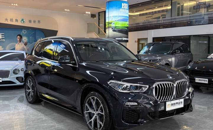 宝马 X5(进口) 2019款 xDrive40i 尊享型 M运动套装
