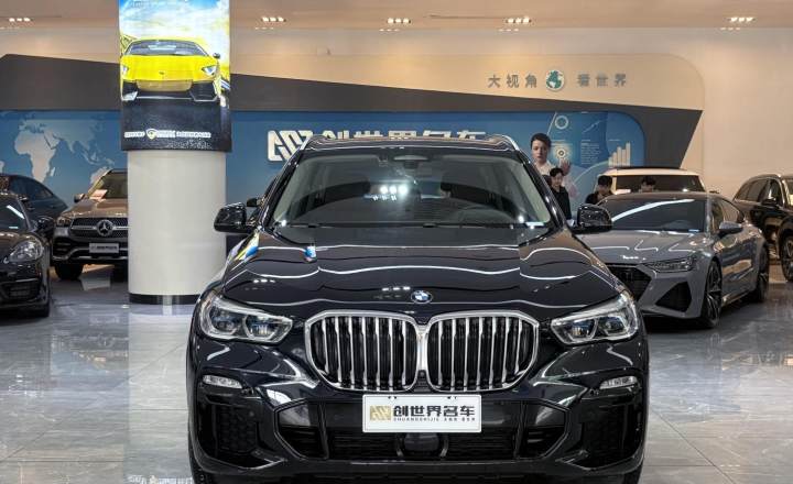 宝马 X5(进口) 2019款 xDrive40i 尊享型 M运动套装