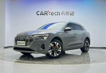 奥迪 etron(进口) 2019款 55 quattro 专享型