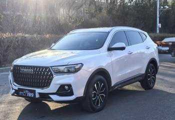 哈弗 H6 2023款 国潮版 1.5T 自动都市版