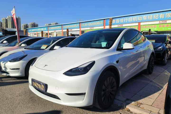 特斯拉 Model Y 2024款 长续航全轮驱动版