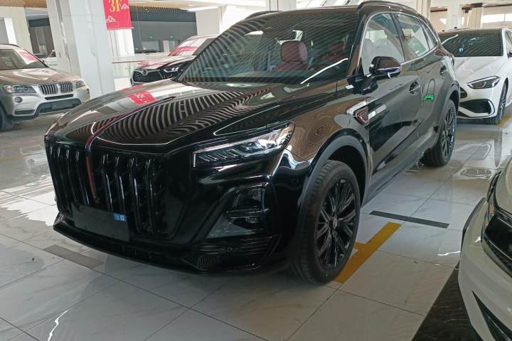 红旗 HS5 2.0T 两驱旗悦Pro版