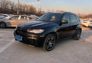 宝马 X5 M 2010款 X5 M