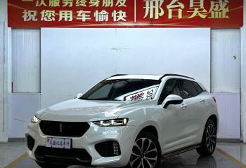 魏牌 VV7 2019款 升级款 2.0T 旗舰型 国VI