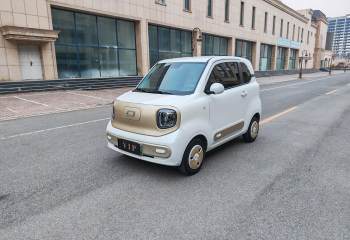 奔腾 小马 2025款 222km 灵动马